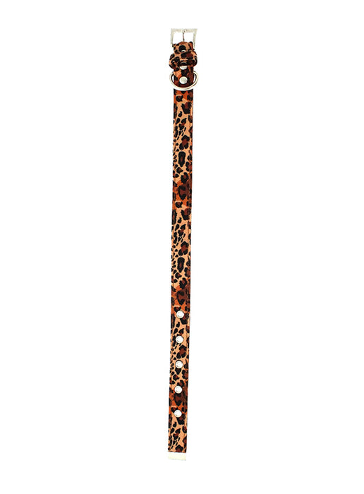 Halsband - Cheetah